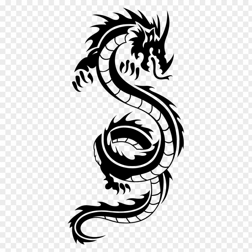 Yin And Yang Chinese Dragon Fire SymbolTiger Wo Wall Decal Sticker Mural PNG