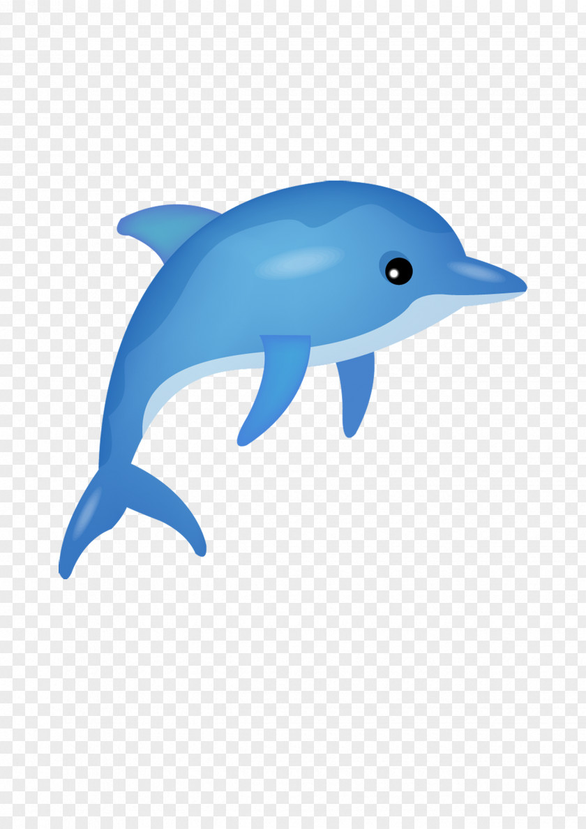 Cartoon Dolphin Poster PNG
