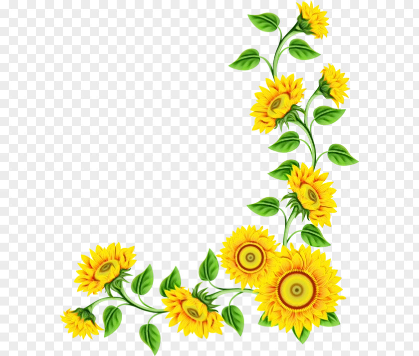 Key Chains Flower Video Image Television PNG