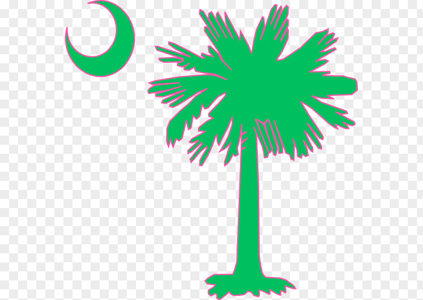 Moon Flag Of South Carolina Sabal Palm Arecaceae PNG