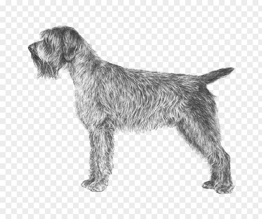 Puppy Wirehaired Pointing Griffon German Pointer Spinone Italiano Vizsla PNG