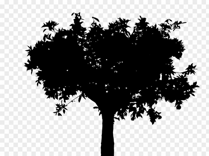 Silhouette Tree Vector Graphics Twig Oak PNG