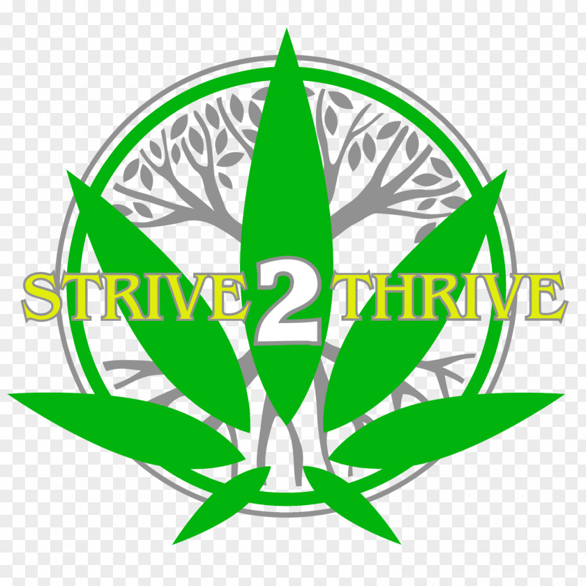 Strive Medical Cannabis Florida Amendment 2 Chronic Pain Therapy PNG