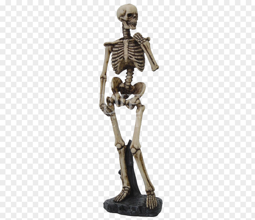 Evil Skeleton Pictures David Human Skull Figurine PNG