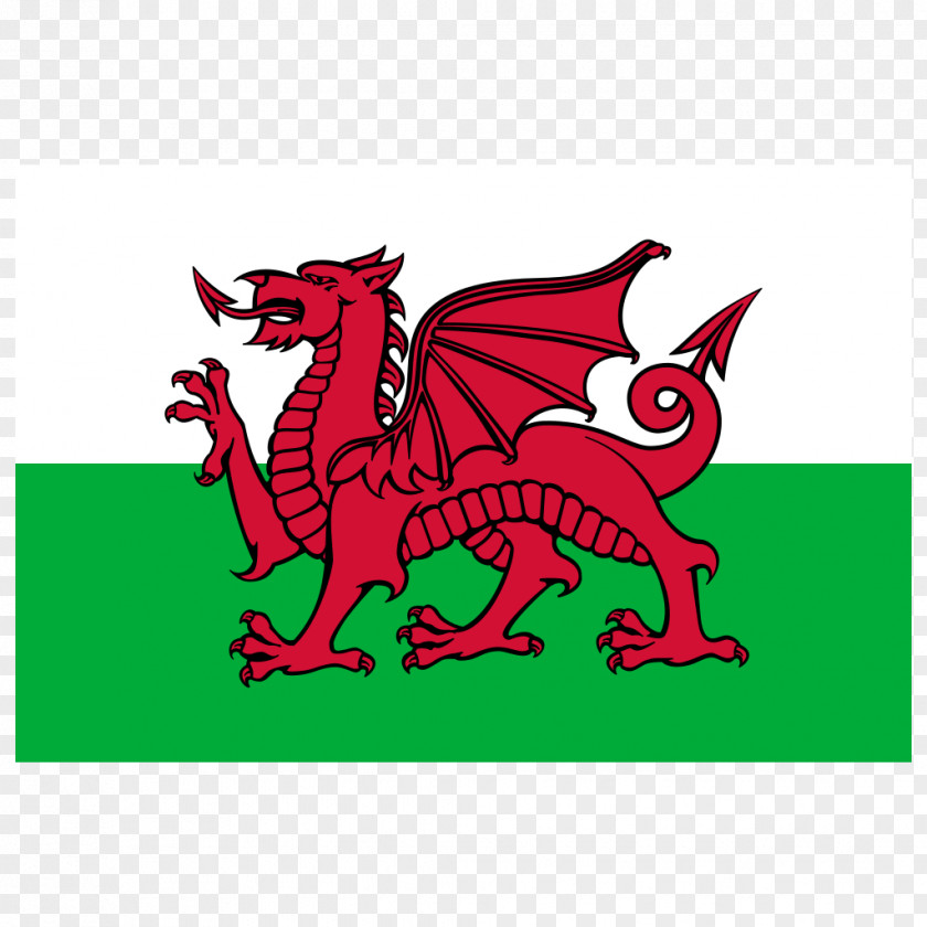 Flag Of Wales Welsh Dragon Jolly Roger PNG