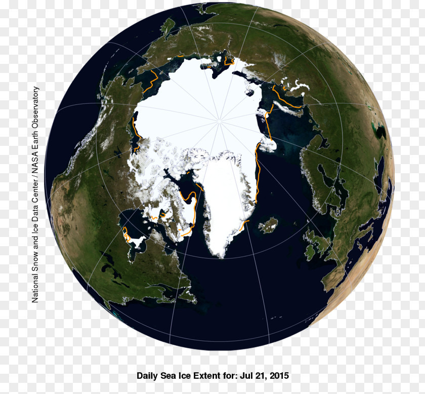 Polar Bear Arctic Ocean North Pole Regions Of Earth Ice Pack National Snow And Data Center PNG