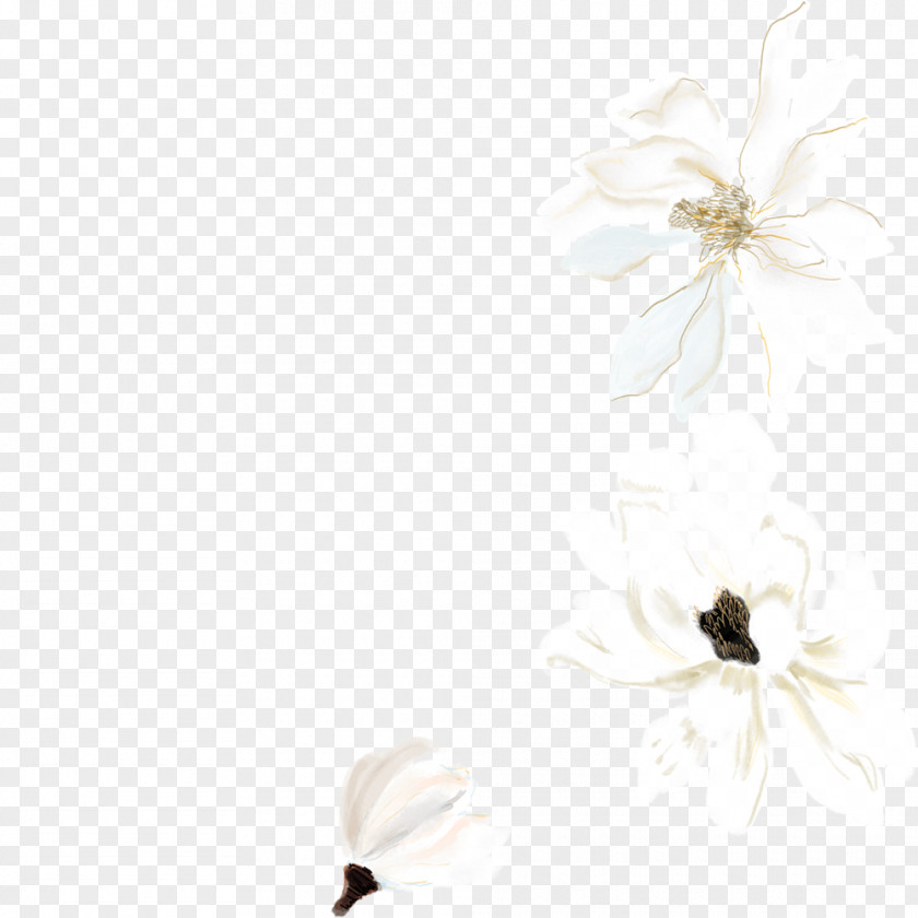 White Watercolor Flower Decoration Pattern Painting Drawing PNG