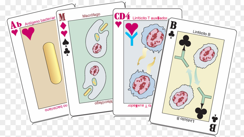Cartas De Baralho Paper Card Game Playing PNG