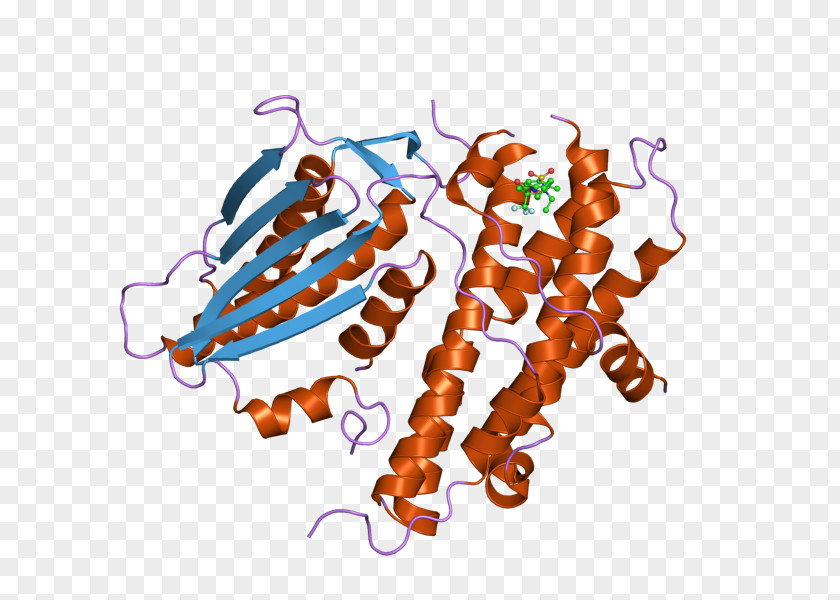 European Bioinformatics Institute PDK2 Pyruvate Dehydrogenase Kinase Isozyme Art PNG
