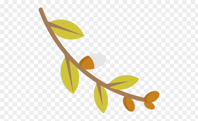 Leaf Drawing Branch PNG