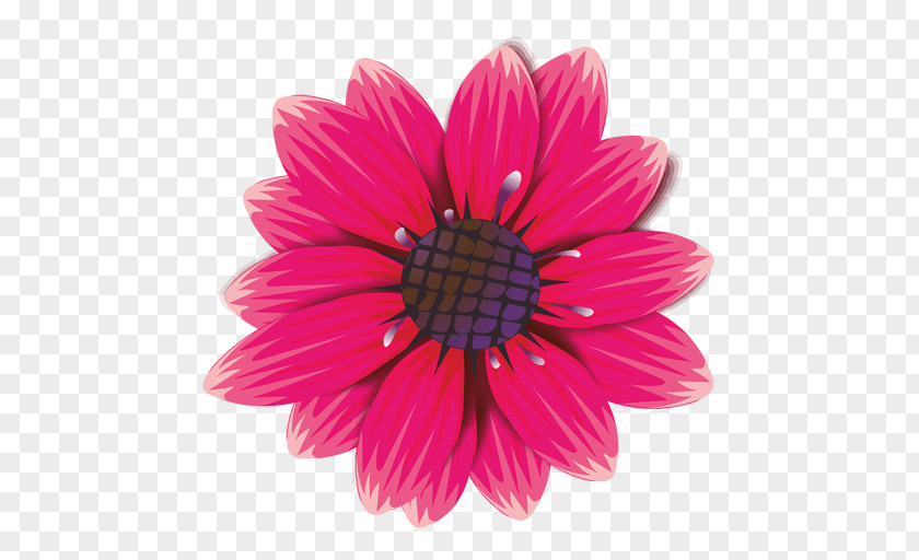 Maroon Flower Common Daisy Violet Clip Art PNG