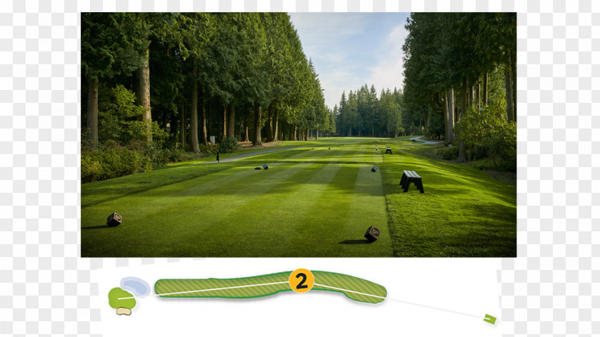 Womens Pga Championship Golf Clubs Course Lawn PNG