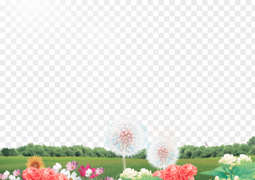 Grass Field Wallpaper PNG