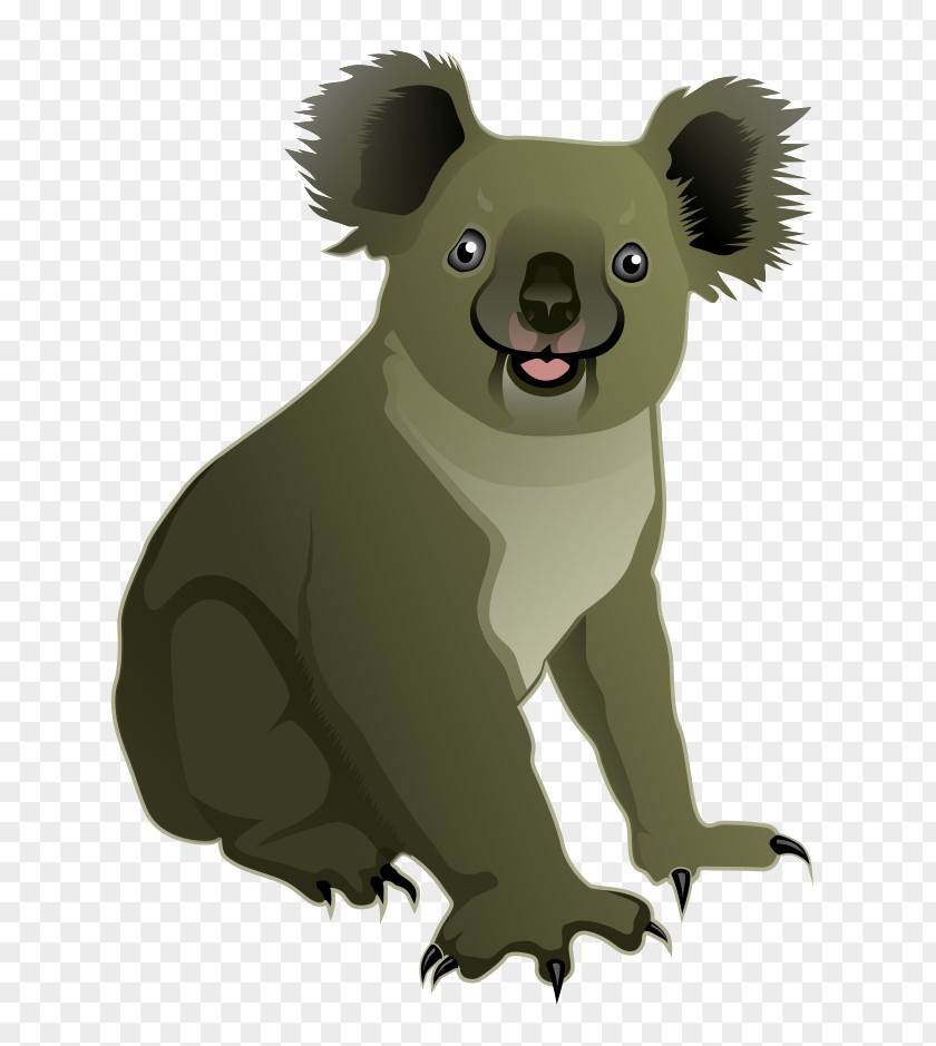 Koala Bear Cuteness Clip Art PNG