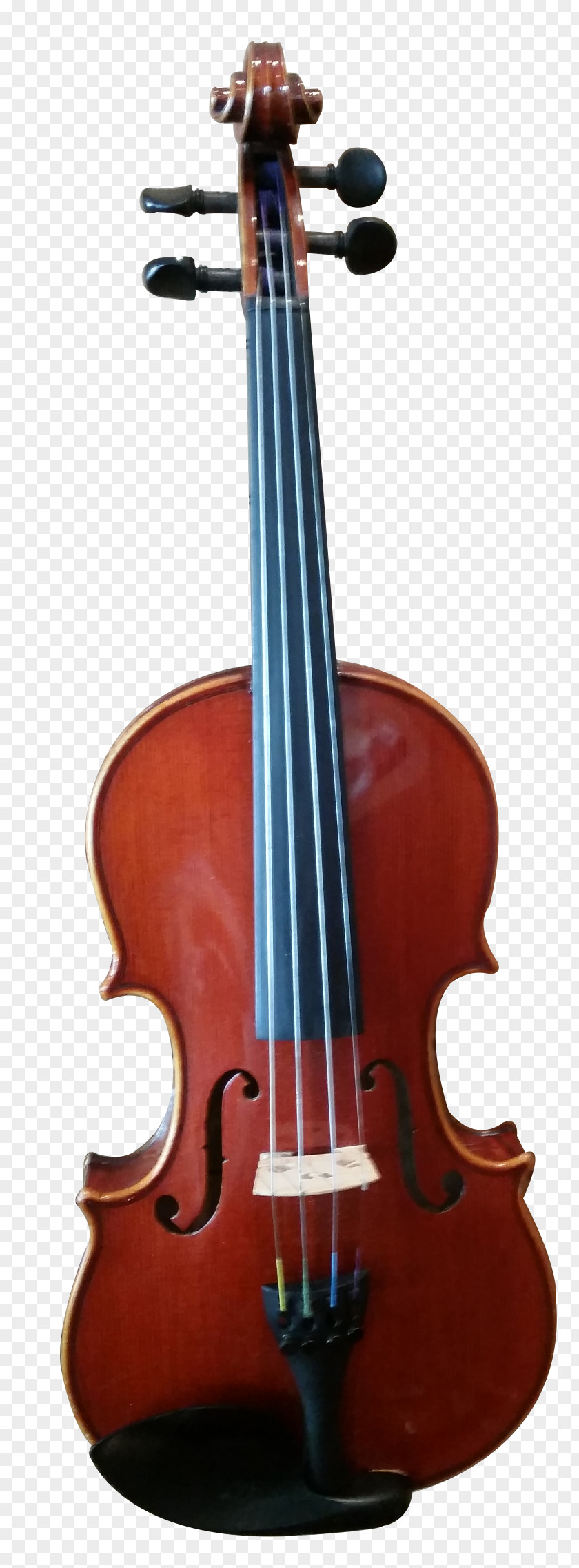 Violin Musical Instruments Viola String Cello PNG