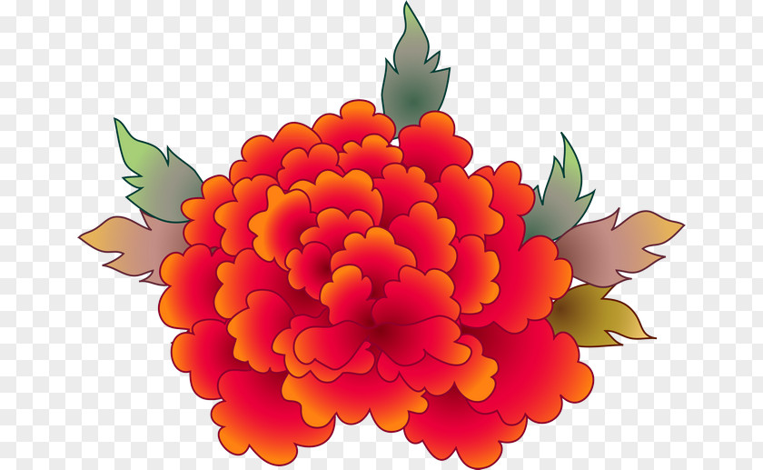 Flower Floral Design Cut Flowers Bouquet Chrysanthemum PNG