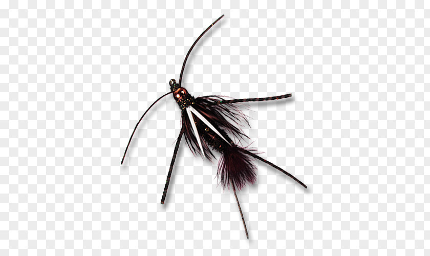Flying Nymph Insect Fly Fishing Prince Gigabyte PNG