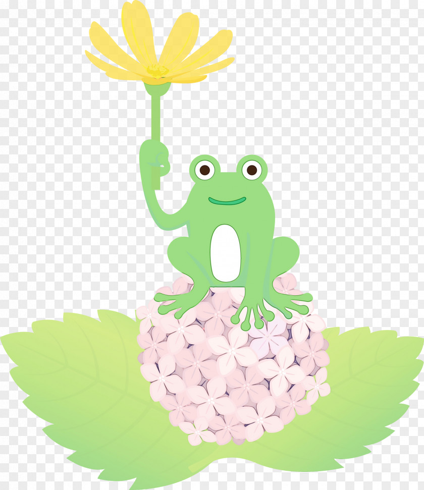 Frogs Tree Frog Cartoon Green Science PNG