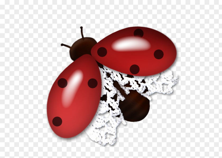 Pretty Red Ladybug Beetle Coccinella PNG