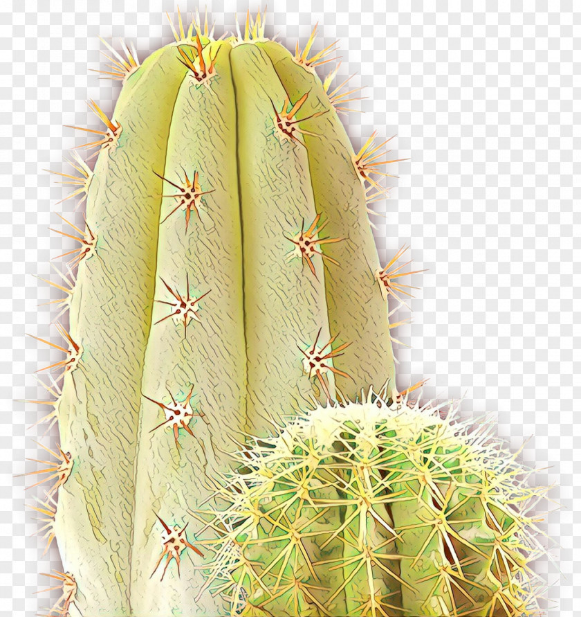 Saguaro Largeflowered Cactus Cartoon PNG