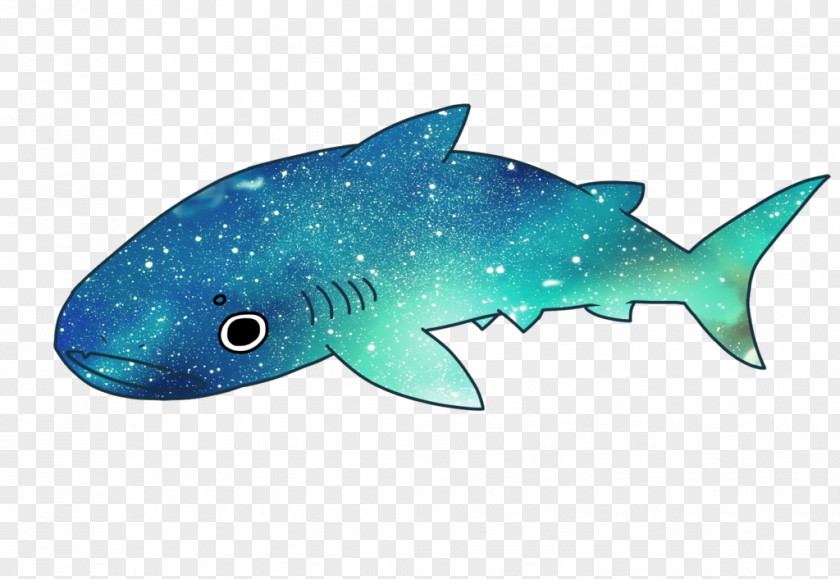 Shark Drawing Squaliform Sharks Whale Tooth PNG