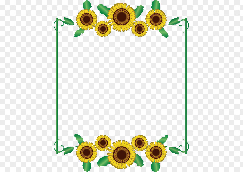Transparent Sunflower Frame. PNG
