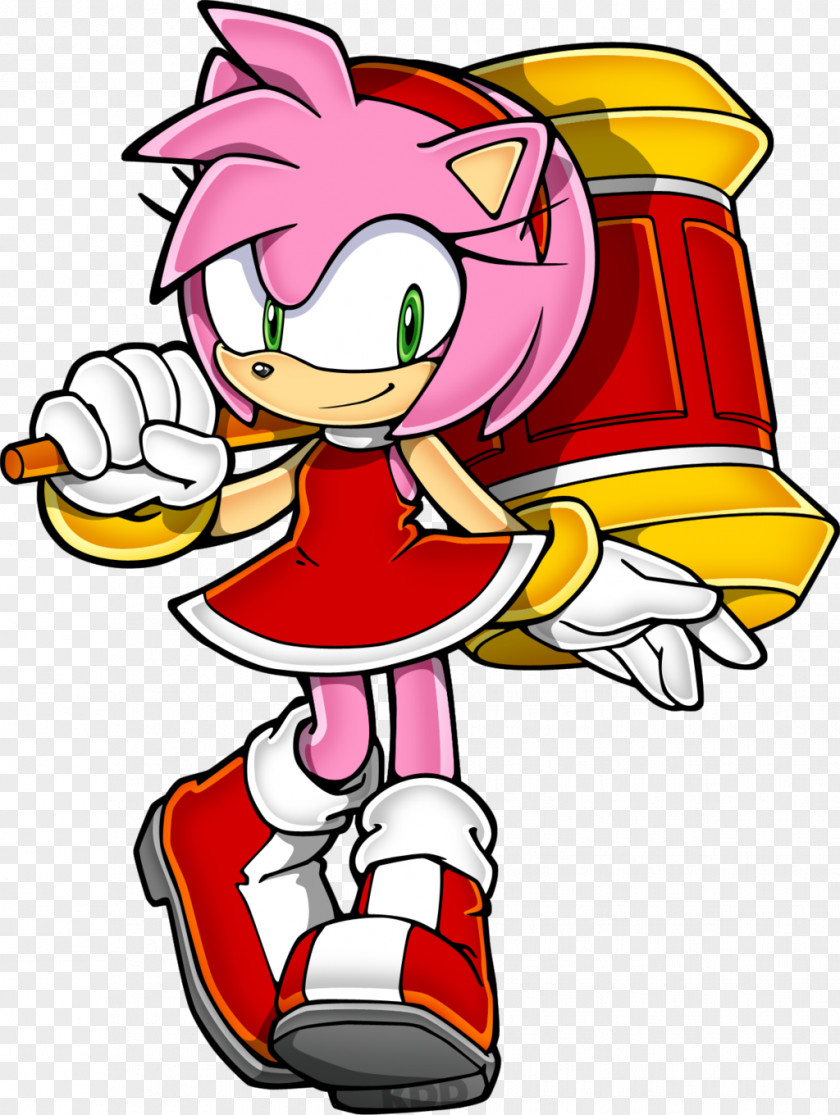 Acorn Amy Rose Shadow The Hedgehog Sonic Rouge Bat Knuckles Echidna PNG