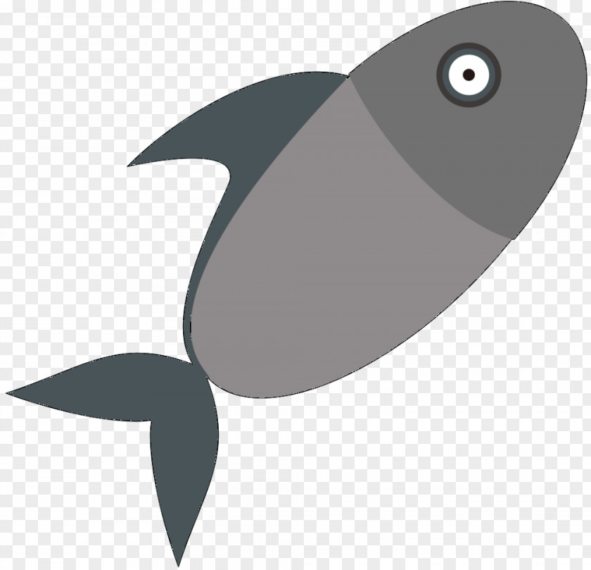 Beak Fish Product Design Marine Mammal Font PNG