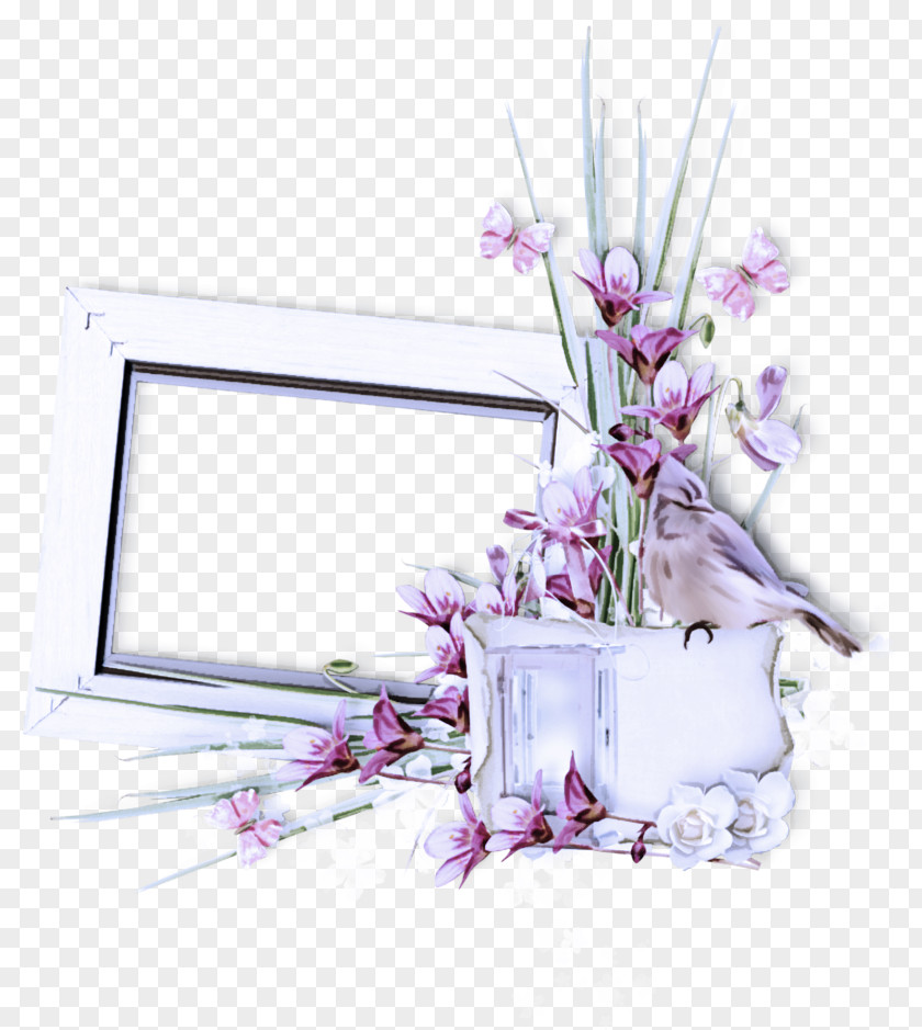 Picture Frame PNG