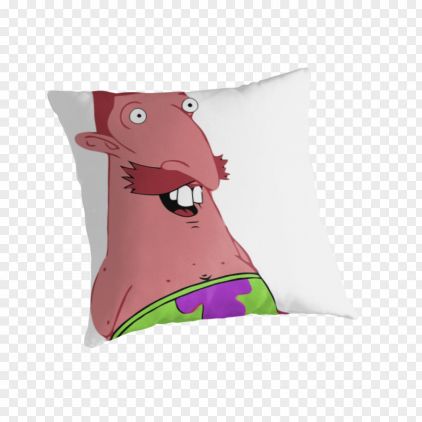 Pillow Cushion Throw Pillows PNG