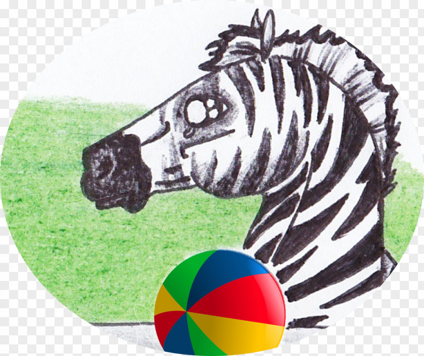 Wombat Cartoon Quagga Snout PNG