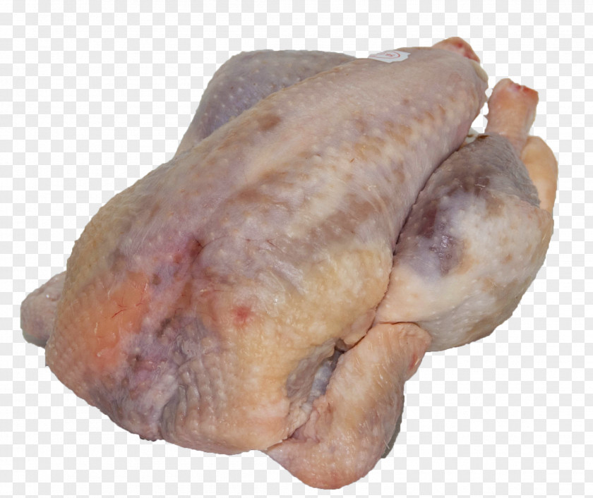 Duck Pig's Ear Turkey Meat PNG
