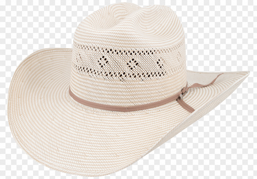 Hat Sun Cowboy Straw Stetson PNG