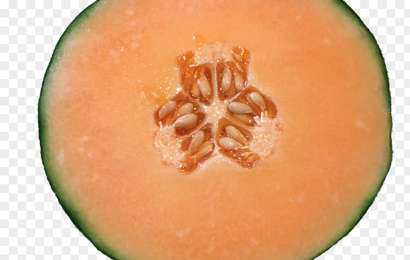 Melon Galia Cantaloupe Food Smoothie PNG