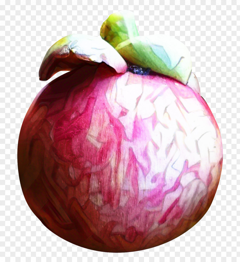 Purple Mangosteen Onion Cartoon PNG