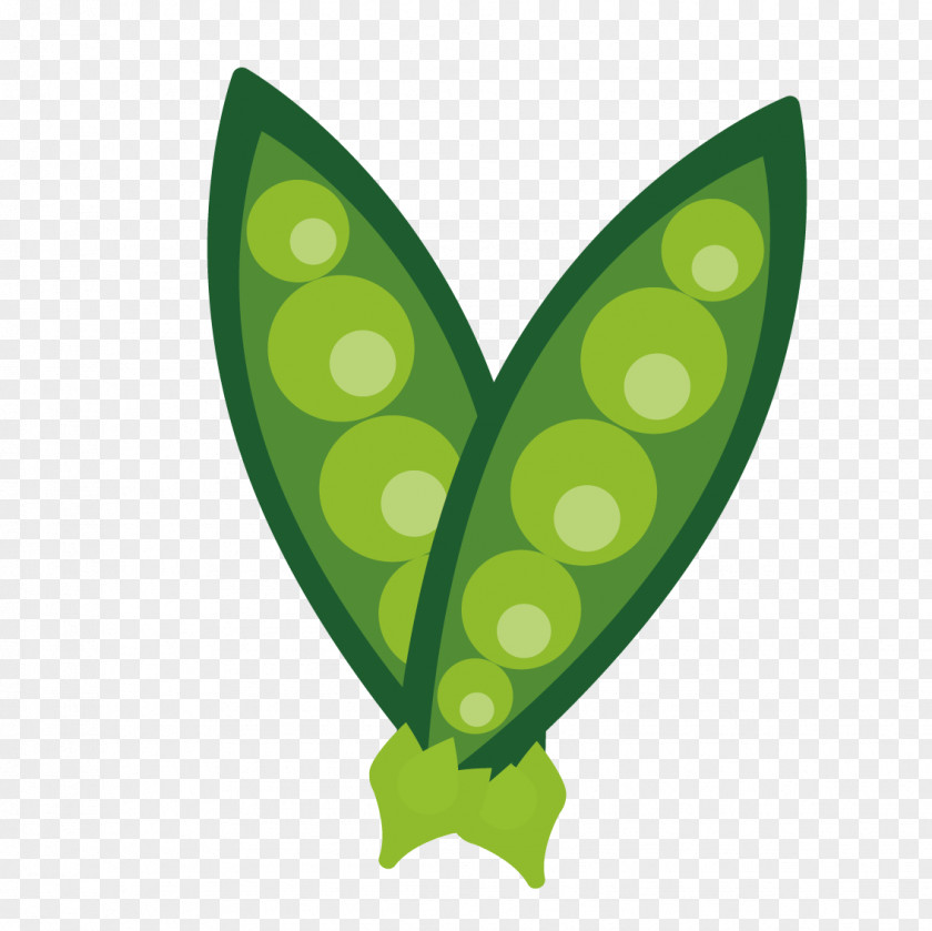 Vector Snow Peas Pea Vegetable PNG