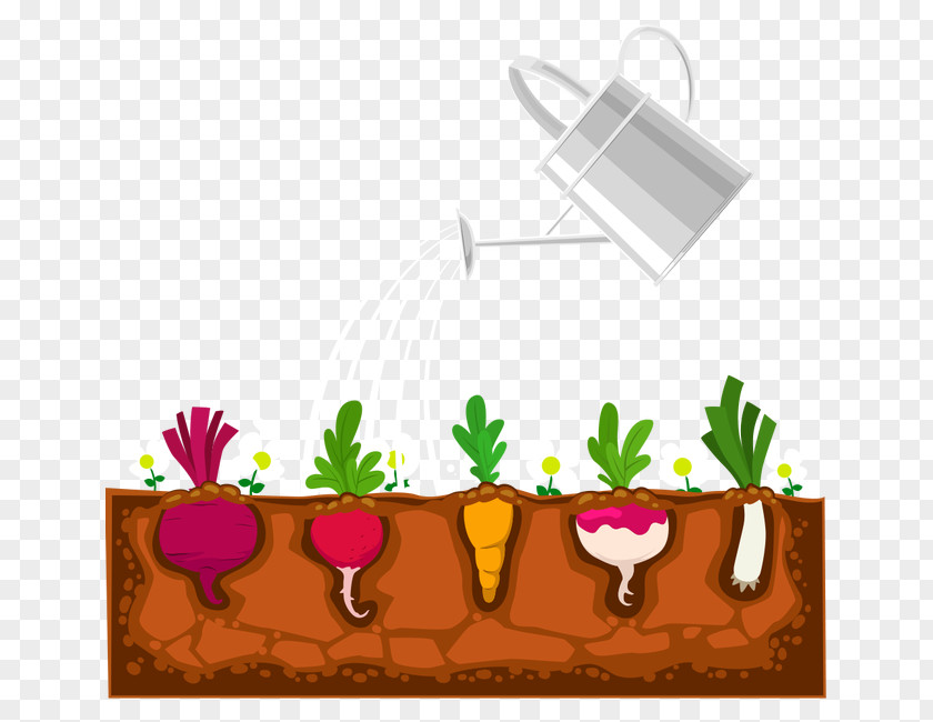 Vegetables Plant Garden Devils Ivy Shrub PNG