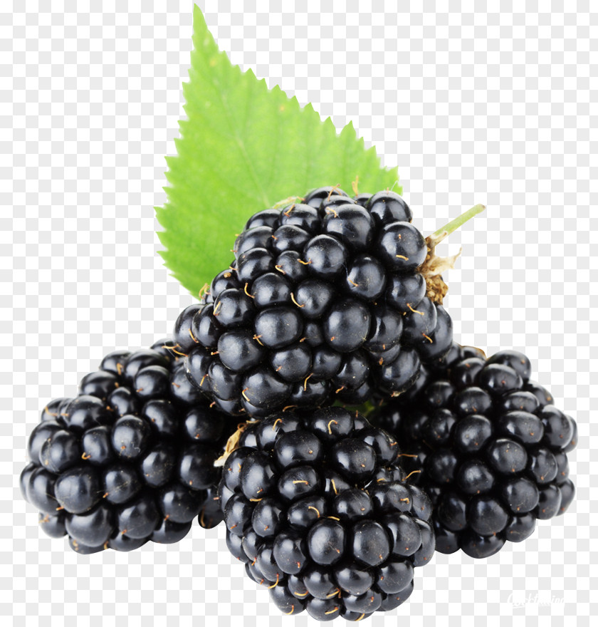 Blackberry BlackBerry Fruit PNG