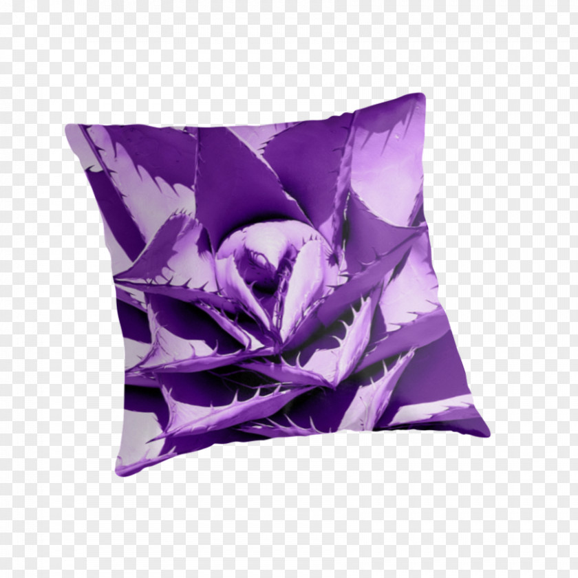 Blankets And Pillows Cushion Throw PNG