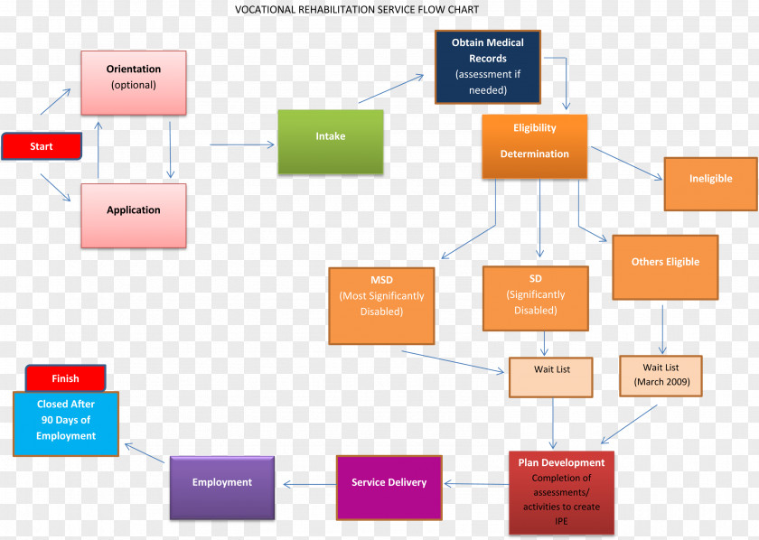 Design Brand Organization Diagram PNG