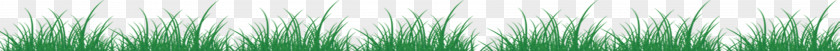 Grass Green Angle Pattern PNG