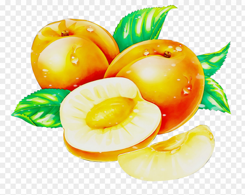 Ingredient Garnish Food Fruit Plant PNG