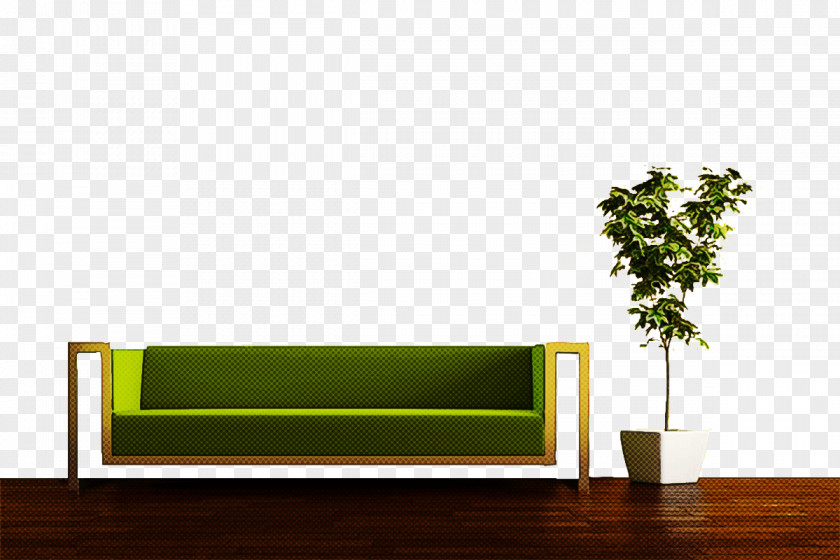 Plant Interior Design Green Grass Background PNG
