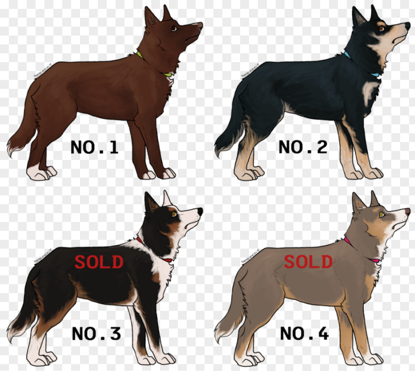 Australia Australian Kelpie Lapponian Herder Ancient Dog Breeds PNG