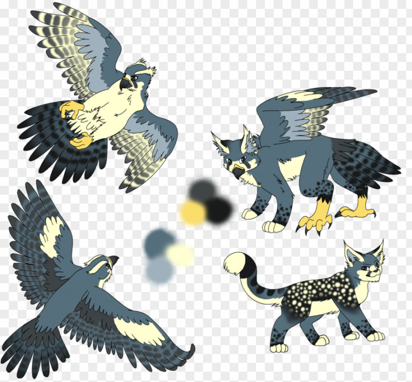 Drawing Peregrine Falcon Bald Eagle Owl Fauna Beak PNG