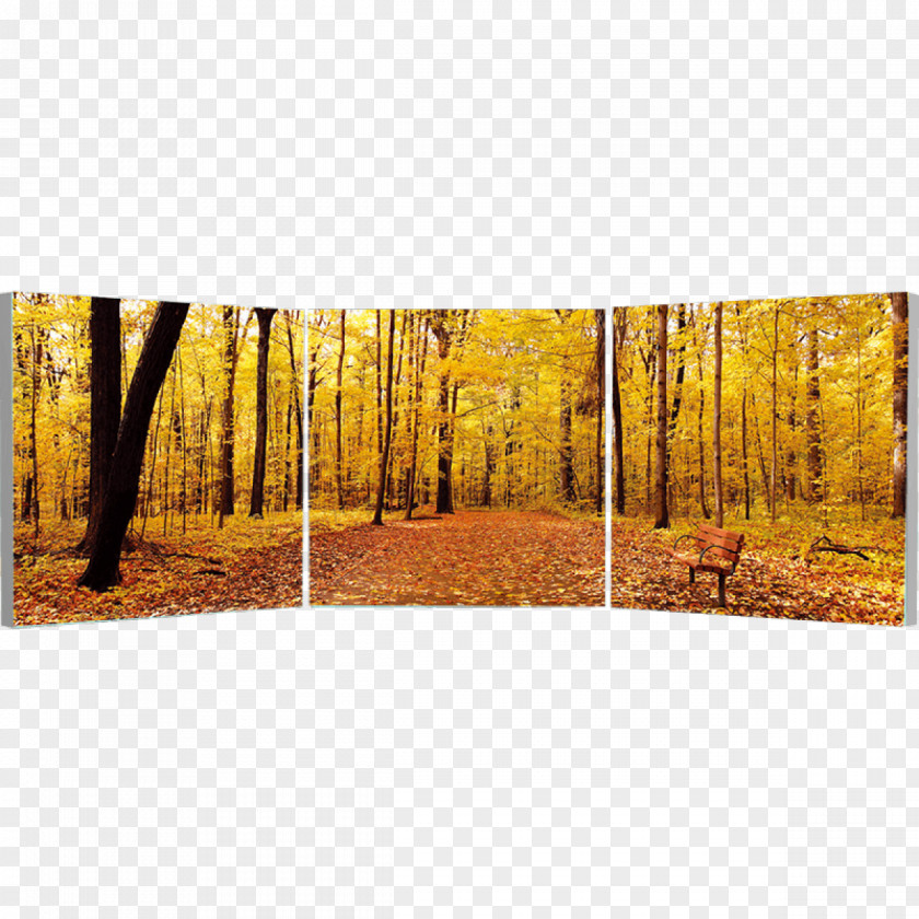 Frameless Painting Stock Photography Triptych Art PNG