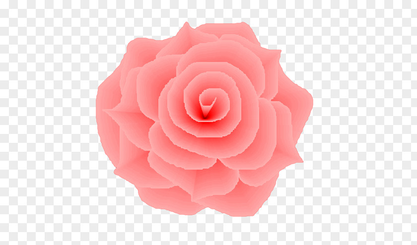 Light Garden Roses Flower Centifolia Pink PNG