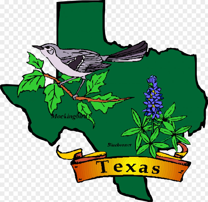 Symbol Texas Alabama Bluebonnet Clip Art PNG