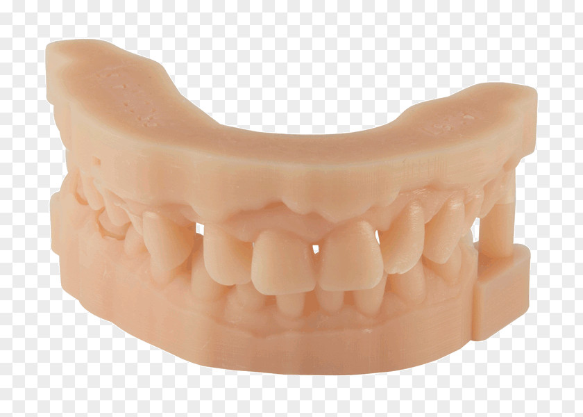 Activity Material 3D Printing Resin Dentistry Tooth PNG