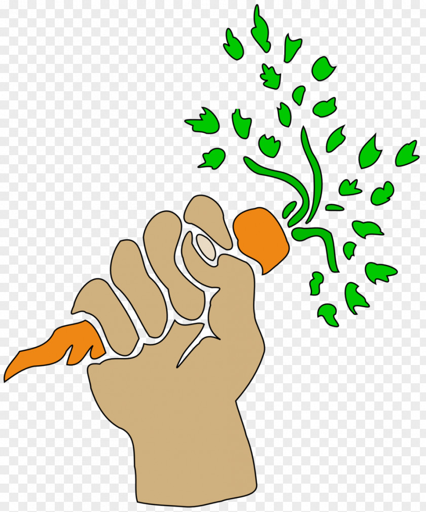 Carrot Drawing Clip Art PNG